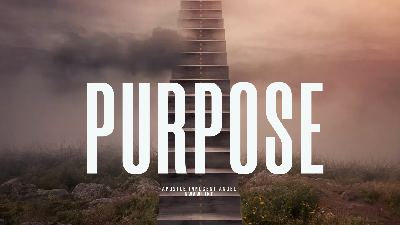 The Purpose Driven Life